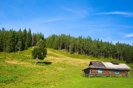 Wooden shepherd house in a mountains. Traditional small hut in Carpathian mountains on green meadow called Polonyna or montane meadow.  Traditional rural landscape in mountains. Carpathians, Ukraine.の写真素材