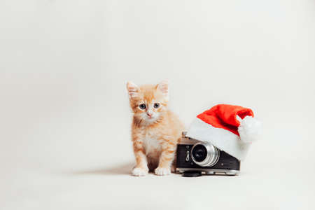Christmas composition on a light background, ginger kitten, Christmas hat, cameraの写真素材