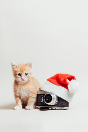 Christmas composition on a light background, ginger kitten, Christmas hat, cameraの写真素材