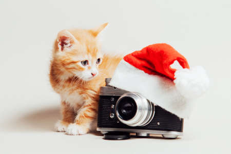Christmas composition on a light background, ginger kitten, Christmas hat, cameraの写真素材