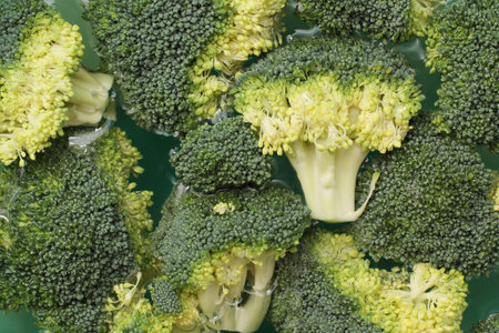 chopped broccoli stalks backgroundの写真素材