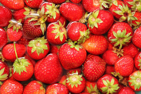 top view red strawberry backgroundの写真素材