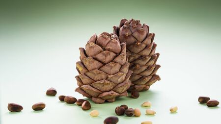 two pine cones with pine nuts on a green background