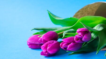 Bouquet of pink tulips on blue pastel background, copy space. Spring minimal concept. Womens Day, Mothers Day, Valentine's Day, Easter, birthday. Nature background. Flat lay, top viewの写真素材