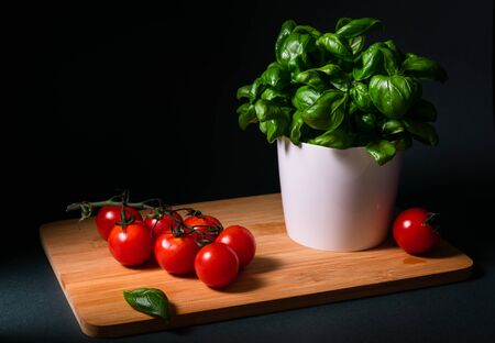 still life, a branch of cherry tomatoes with a bush of basil leaves on a wooden board on a black backgroundの写真素材