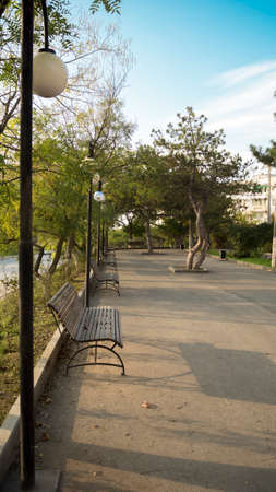 Bench in the green parkの写真素材