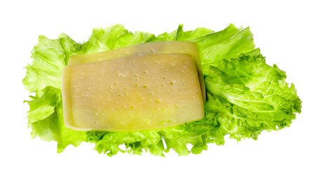 cheese, lettuce plant,  isolated on white backgroundの写真素材