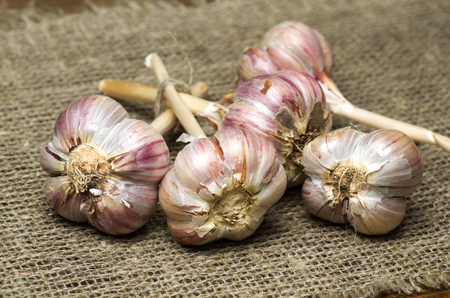 Organic garlic on a wooden table in the background .Rustic style.の写真素材