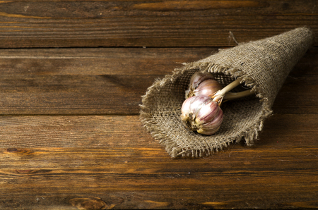 Organic garlic on a wooden table in the background .Rustic style.Free space for text.の写真素材