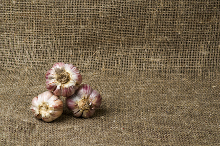 Organic garlic on a wooden table in the background .Rustic style.Free space for text.の写真素材