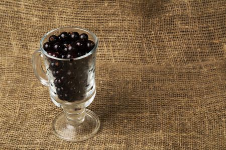 black currant on a wooden background.Rustic style.Free space for text.の写真素材