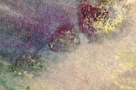 closeup texture of skin. background for designの写真素材