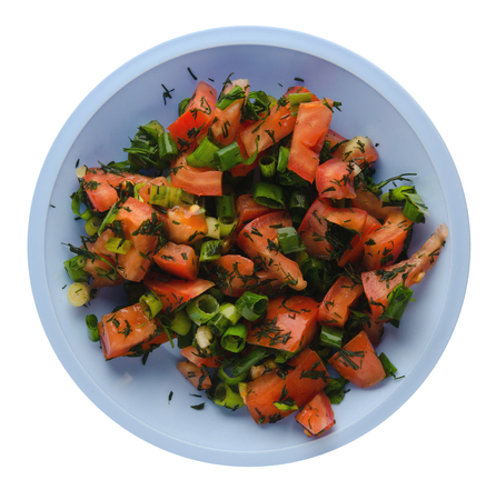vegetarian food . tomatoes, onion, fennel on a plate isolated on white background. healthy foodの写真素材
