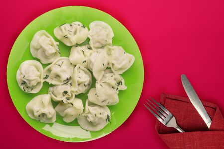 dumplings on a green plate against a red background. Meat dumplings top view. Asian cuisineの写真素材