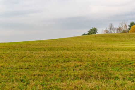 countryside fields in autumn with young crops and forests in background, clouds above.trees on a...