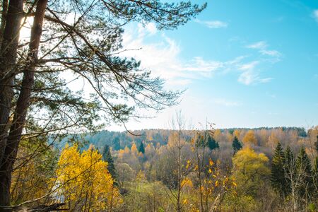 Beautiful autumn scenery .autumn landscape . bright colors of trees in autumnの写真素材