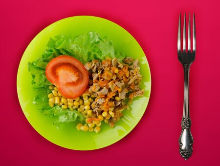  salad of cheese, lettuce, corn, pepper on a red background. Vegetarian salad on a green plate with fork . Vegetarian salad top view の写真素材