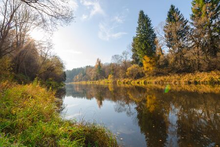 Autumn water landscape with bright colorful yellow leaves in the Vitebsk region, Belarus.autumn...