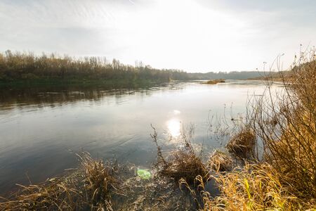 autumn landscape. river at sunset in the autumn forest. river going into the distance