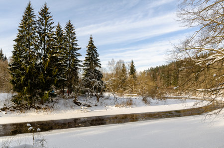 river in the winter forest going into the distance. winter nature of Belarusの写真素材
