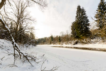 river in the winter forest going into the distance. winter nature of Belarus