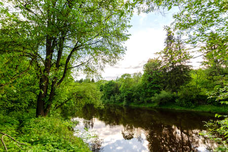 River surrounded by forest.Beautiful nature in the evening