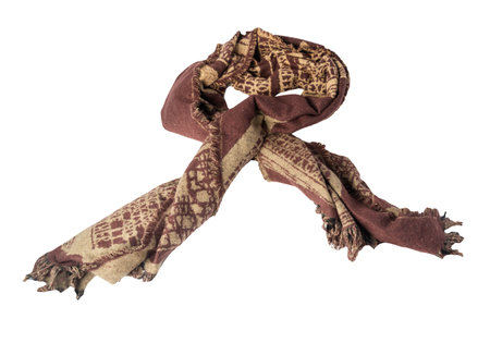 female brown beige scarf isolated on white background. fashionable female accessoryの写真素材