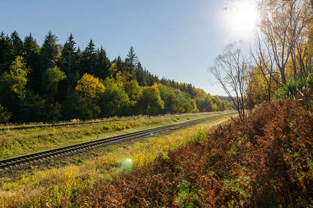 Railway in the autumn forest. Autumn forest dayの写真素材