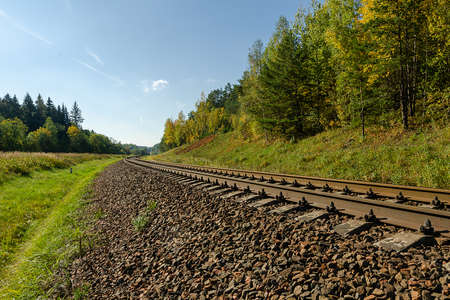 Railway in the autumn forest during the day.Beautiful autumnal nature