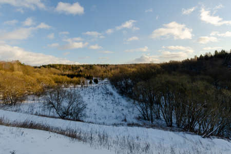 Winter forest top view. Beautiful nature in winter.