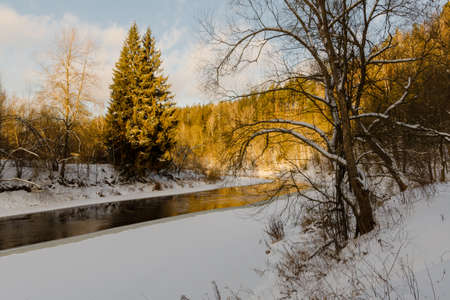 River extending in the winter forest. Beautiful nature in winterの写真素材