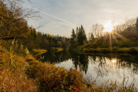 The river is current in the autumn forest. Beauty of autumn nature.golden foliage,grassの写真素材