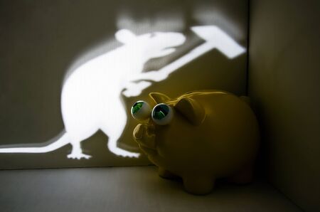Change of year on the Chinese calendar. The year of the white metal rat is replacing the year of the yellow earthen pig. Light shadow and piggy bank.の写真素材