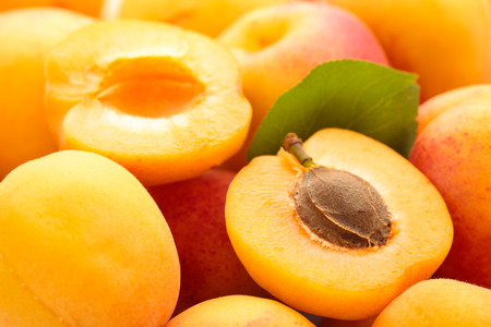 Fresh apricots の写真素材