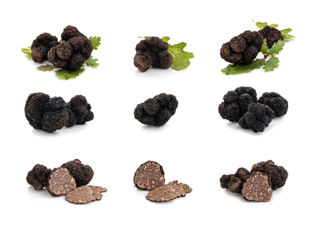 Closeup shot of black truffles and oak leaves isolated on white background.の写真素材