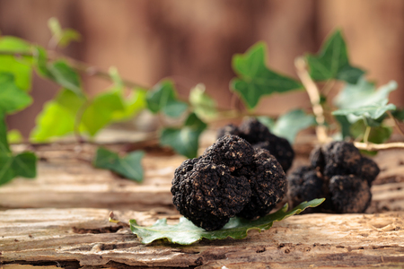 Black truffles on table.の写真素材
