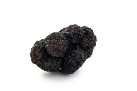 Black truffles on white.の写真素材