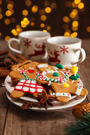 Homemade gingerbread cookies and hot chocolate preserved for Christmas day.