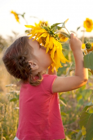 Happy baby smelling a big sunflower on the summer fieldの写真素材