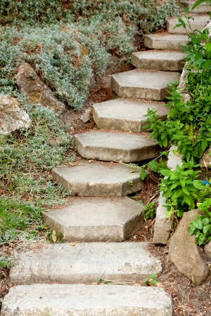 Steps up in the park