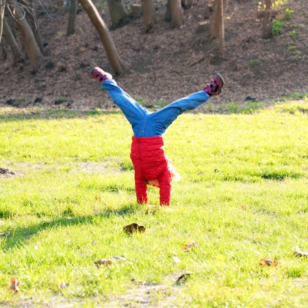 Little girl wearing a red standing on hands upside down on green grass. Active and healthy lifestyle...