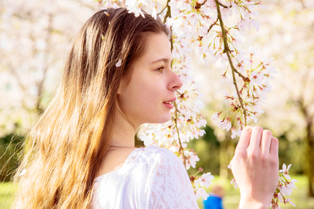 Spring portrait of a young teen girl in a cherry blossoming garden. A lovely girl and cherry flowers, a blooming spring.の写真素材