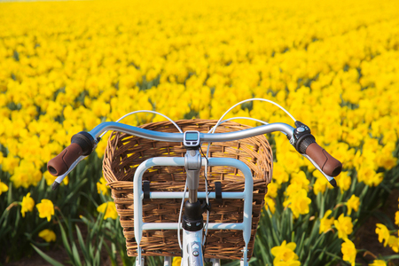 Handle bar bicycle against the background of a blooming flower field. Spring or summer travel concept. Eco-friendly transport, environmental protection, friendship and unity with nature. の写真素材
