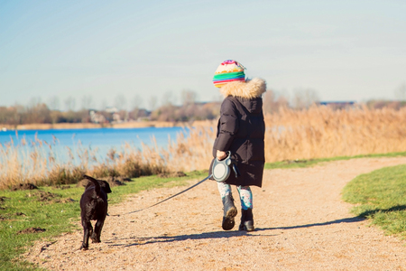 Small child is walking a Labrador Retriever puppy. Kid and Labrador Retriever dog for a walk. Best friends ever. Happy child and puppy together. Pets care concept.の写真素材