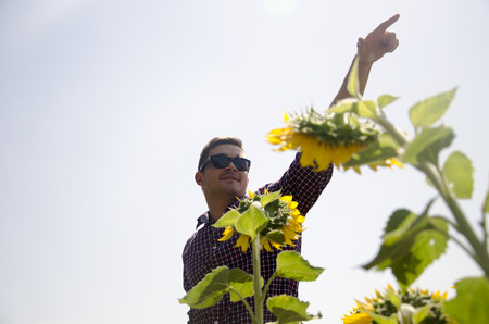 The man in the field with sunflowersの写真素材