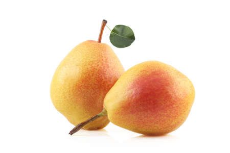 Two pears isolated on white backgroundの写真素材