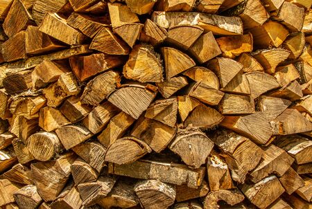Tree bark texture wallpaper