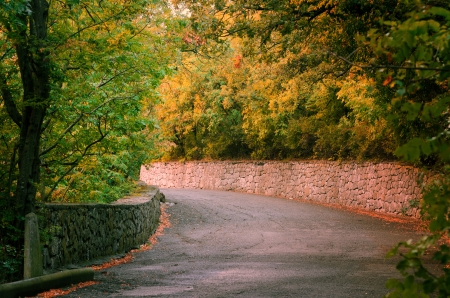 Countryside road in autumn dayの写真素材