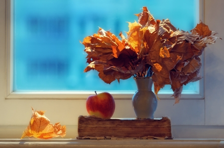 Autumn leafs still life against a window の写真素材