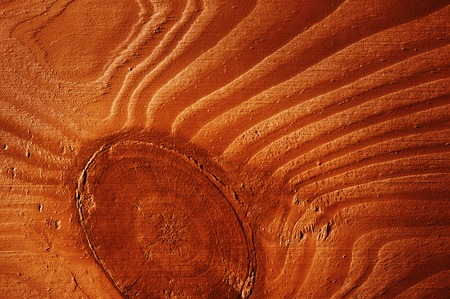 Wood textureの写真素材